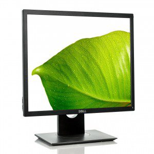 Professional 19" Square Monitor P1917S Dell