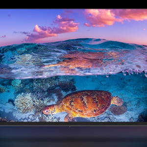43 INCH ANDROID (FL) 4K TV WITH VOICE REMOTE - 2 YEARS REPLACEMENT AND BURNING WARRANT