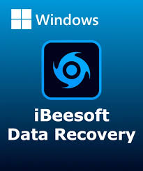 iBeesoft Data Recovery Pro