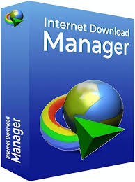 Internet Download Manager (IDM)
