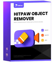Video Object Remover