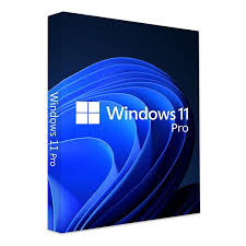 Windows 11 Pro OEM Online Key
